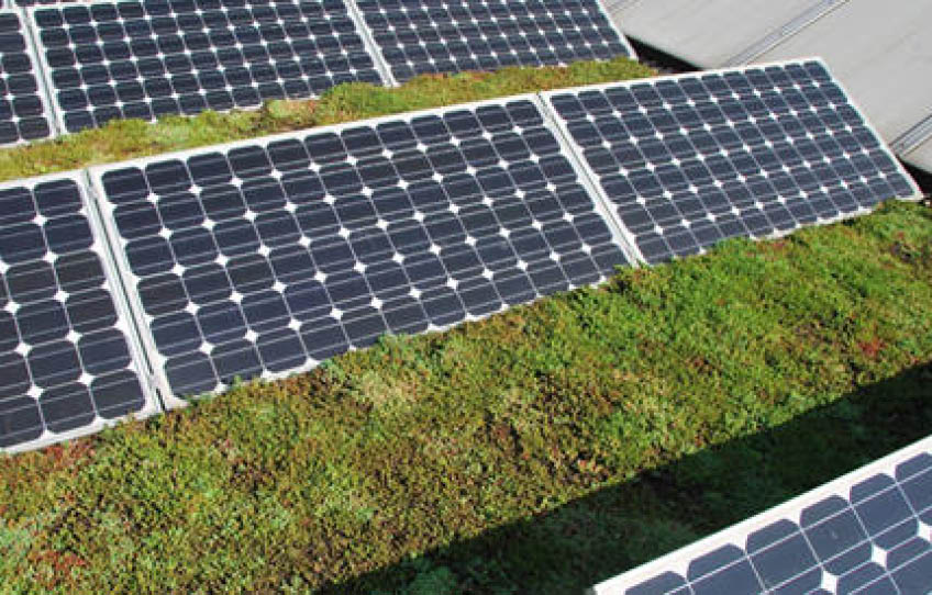 Zonnepanelen op groen dak leveren hoger rendement